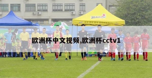 欧洲杯中文视频,欧洲杯cctv1